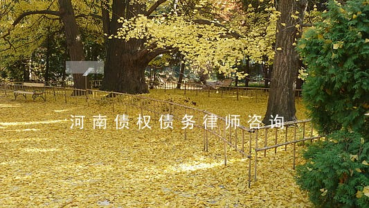 河南债权债务律师咨询 河南债权债务律师咨询