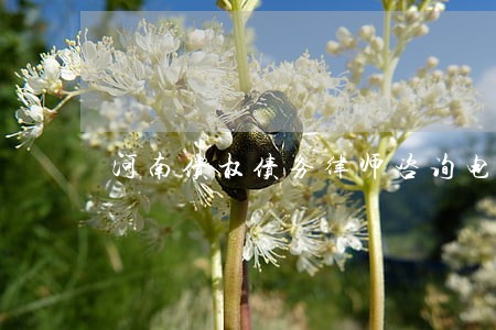 河南债权债务律师咨询电话 河南债权债务律师咨询电话