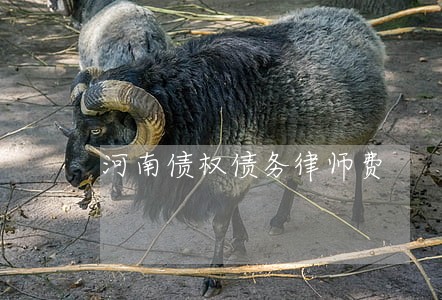 河南债权债务律师费