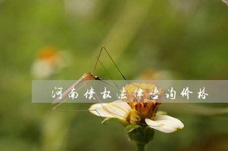 河南债权法律咨询价格 河南债权法律咨询价格