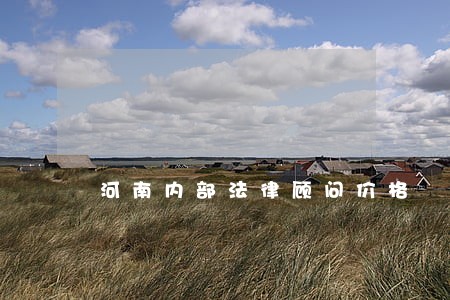 河南内部法律顾问价格 河南内部法律顾问价格
