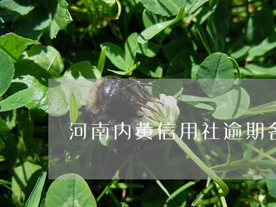河南内黄信用社逾期名单