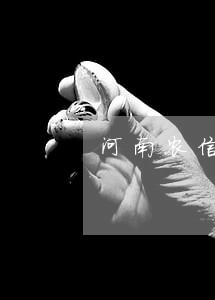 河南农信房贷逾期一天