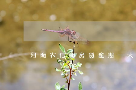 河南农信还房贷逾期一天 河南农信还房贷逾期一天