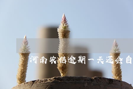 河南农信逾期一天还会自动扣款 河南农信逾期一天还会自动扣款