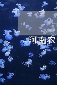 河南农信逾期了还能申请吗 河南农信逾期了还能申请吗