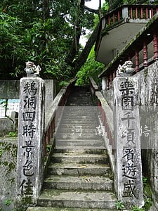 河南农信逾期后啥时候自动扣款 河南农信逾期后啥时候自动扣款