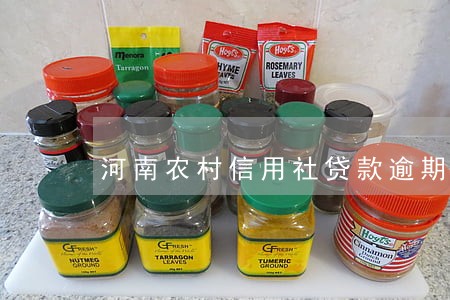 河南农村信用社贷款逾期 河南农村信用社贷款逾期