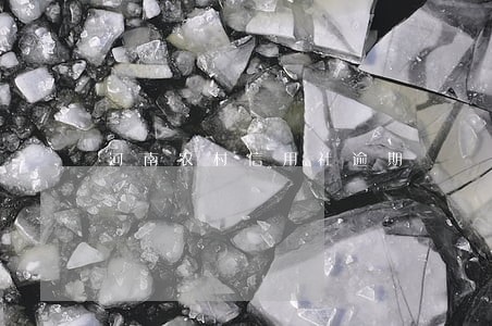 河南农村信用社逾期 河南农村信用社逾期