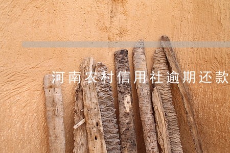 河南农村信用社逾期还款 河南农村信用社逾期还款