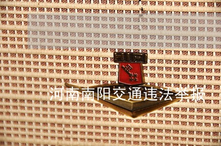 河南南阳交通违法举报