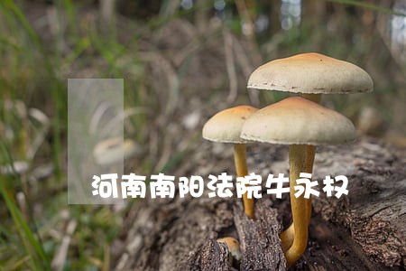 河南南阳法院牛永权