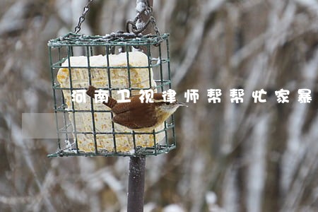 河南卫视律师帮帮忙家暴 河南卫视律师帮帮忙家暴