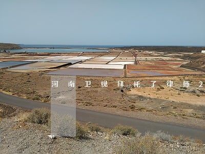 河南卫视拜托了律师2022 河南卫视拜托了律师2022