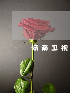 河南卫视拜托啦律师