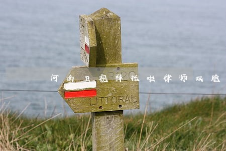 河南卫视拜托啦律师双胞胎 河南卫视拜托啦律师双胞胎