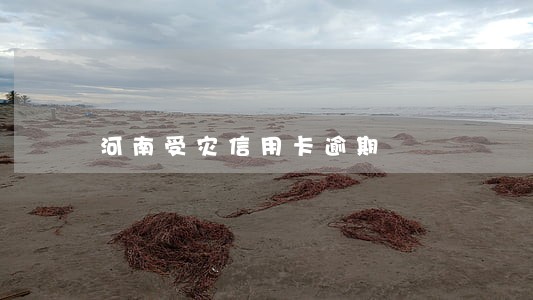 河南受灾信用卡逾期 河南受灾信用卡逾期