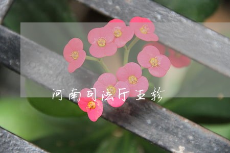 河南司法厅王轸 河南司法厅王轸