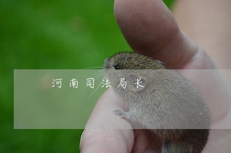河南司法局长 河南司法局长