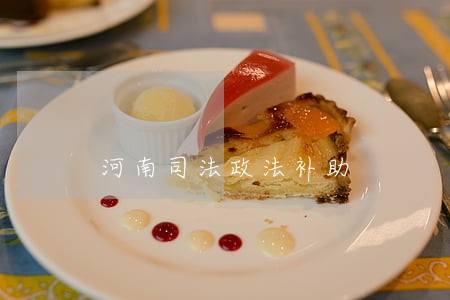 河南司法政法补助