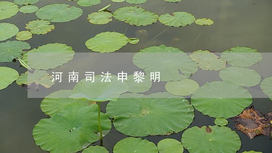 河南司法申黎明 河南司法申黎明