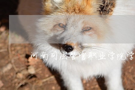 河南司法警官职业学院学生猝死