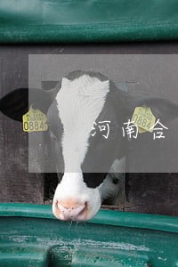 河南合资合作法律咨询热线 河南合资合作法律咨询热线