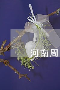 河南周口婚姻律师咨询 河南周口婚姻律师咨询