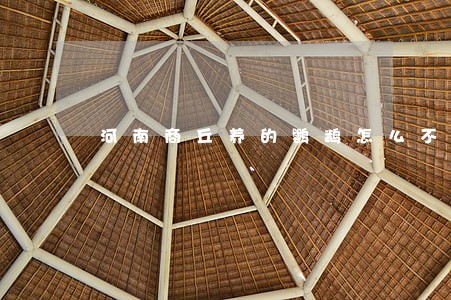 河南商丘养的鹦鹉怎么不违法 河南商丘养的鹦鹉怎么不违法
