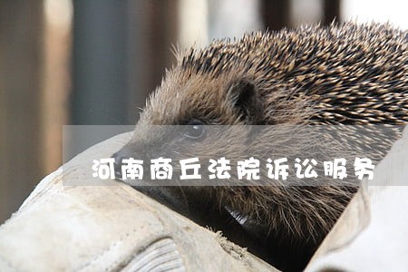 河南商丘法院诉讼服务 河南商丘法院诉讼服务