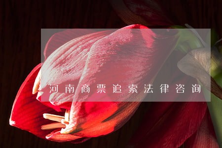 河南商票追索法律咨询 河南商票追索法律咨询