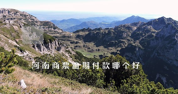 河南商票逾期付款哪个好 河南商票逾期付款哪个好