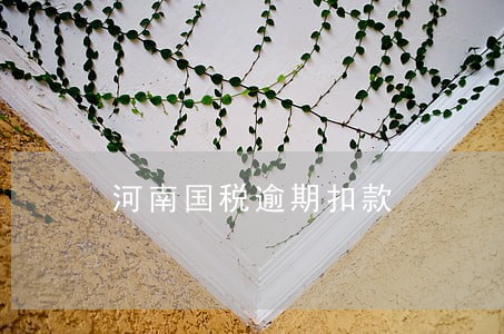 河南国税逾期扣款 河南国税逾期扣款