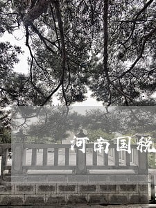 河南国税逾期扣款怎么扣款 河南国税逾期扣款怎么扣款