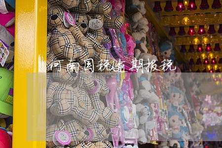 河南国税逾期报税 河南国税逾期报税