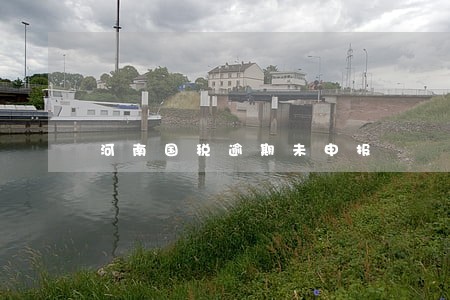 河南国税逾期未申报 河南国税逾期未申报