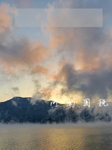 河南国税逾期未申报怎么办 河南国税逾期未申报怎么办