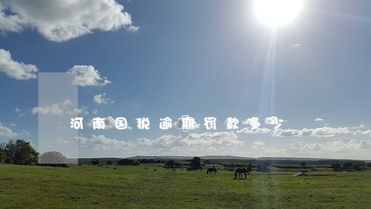 河南国税逾期罚款多少 河南国税逾期罚款多少