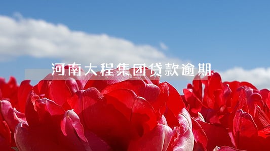 河南大程集团贷款逾期 河南大程集团贷款逾期