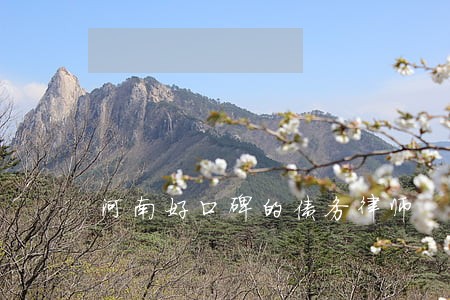 河南好口碑的债务律师 河南好口碑的债务律师