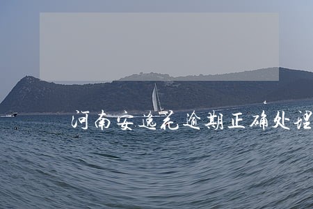 河南安逸花逾期正确处理方案