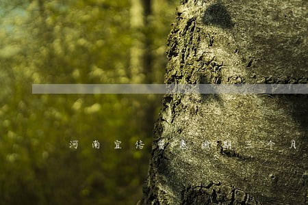 河南宜信普惠逾期三个月
