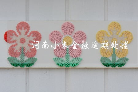 河南小米金融逾期处理 河南小米金融逾期处理