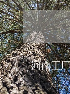 河南工厂企业债务逾期处理 河南工厂企业债务逾期处理