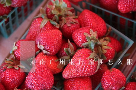 河南广州银行逾期怎么跟银行协商 河南广州银行逾期怎么跟银行协商