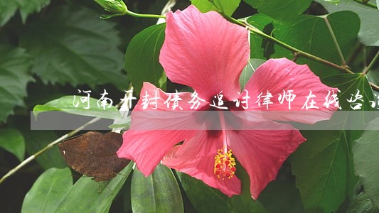 河南开封债务追讨律师在线咨询 河南开封债务追讨律师在线咨询
