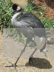 河南开封债务追讨律师法律咨询 河南开封债务追讨律师法律咨询