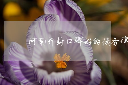 河南开封口碑好的债务律师 河南开封口碑好的债务律师