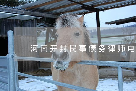 河南开封民事债务律师电话咨询 河南开封民事债务律师电话咨询