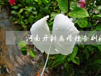 河南开封离婚债务纠纷律师推荐